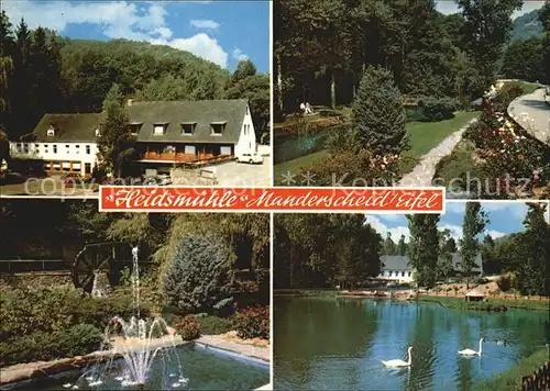 Manderscheid Eifel Hotel Cafe Restaurant Heidsmuehle Park Schwanenteich Kat. Manderscheid