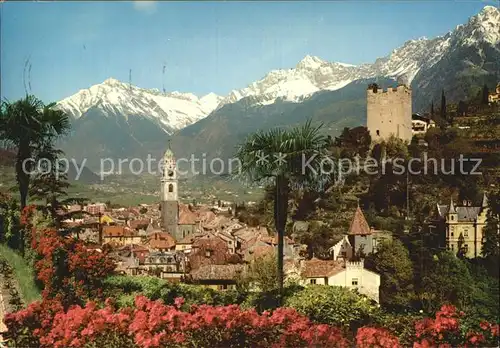 Meran Merano Stadtbild mit Kirche Turm Texelgruppe