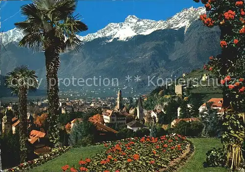 Meran Merano Panorama Kurstadt mit Texelgruppe