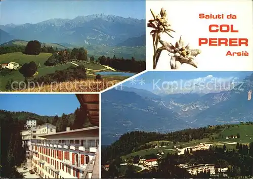 Arsie Panorama Col Perer Edelweiss