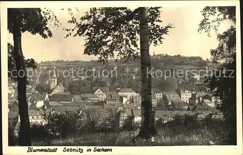 Sebnitz Panorama Kat. Sebnitz