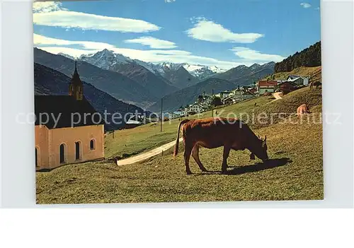 Matsch Suedtirol Panorama Viehweide Kuh Kapelle Alpen