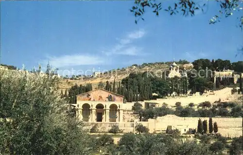 Jerusalem Yerushalayim Basilica of the Agony  Kat. Israel