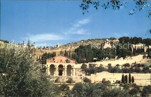 Jerusalem Yerushalayim Basilica of the Agony Kat. Israel