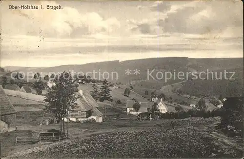 Oberholzhau Panorama Kat. Rechenberg Bienenmuehle