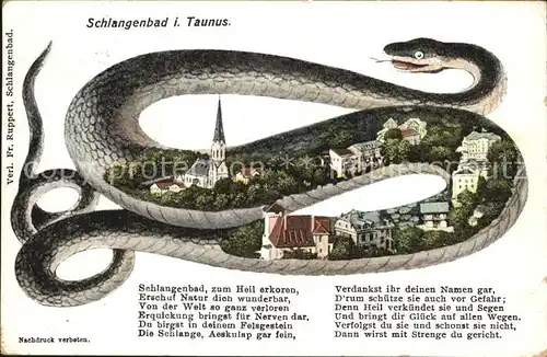 Schlangenbad Taunus Teilansicht mit Schlange Kat. Schlangenbad