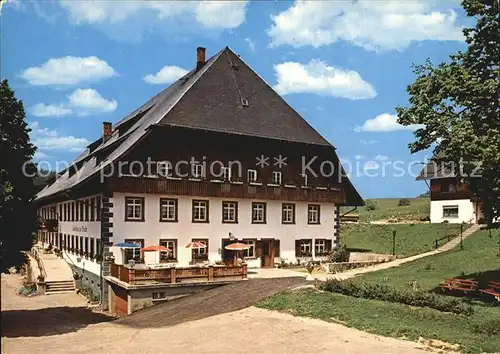 Waldau Degerloch Schwarzwald Gasthof Traube Pension  Kat. Stuttgart