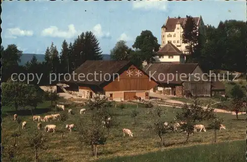 Stettfurt Schloss Sonnenberg Bauernhof Viehweide Kat. Stettfurt