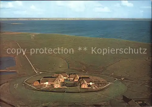 Hallig Groede Fliegeraufnahme Kat. Groede Hallig