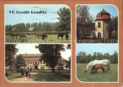 Graditz VE Gestuet Pferde Kat. Torgau
