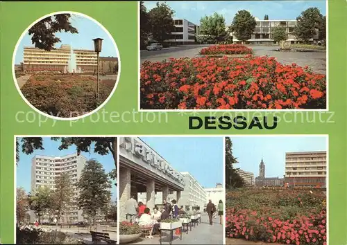 Dessau Rosslau Bauhaus Hochhaus Cafe Africana  Kat. Dessau Rosslau