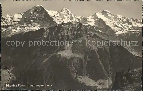 Schynige Platte Panorama mit Jungfrau Berner Alpen Kat. Schynige Platte