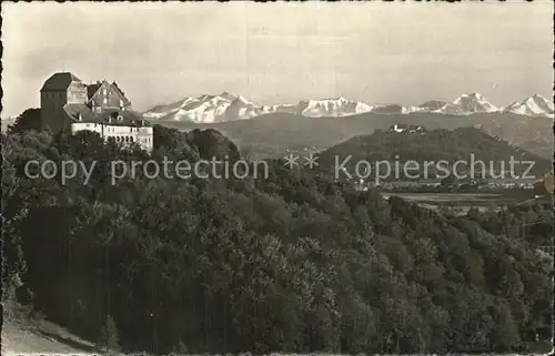 Wildegg Schloss Alpenpanorama Kat. Wildegg