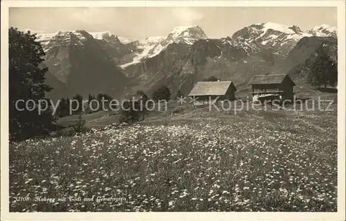 Habegg mit Toedi und Gemsfayren Alpenpanorama