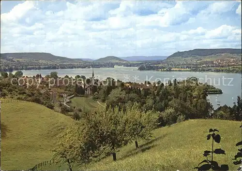 Mammern Untersee Stein am Rhein Burg Hohenklingen Kat. Mammern