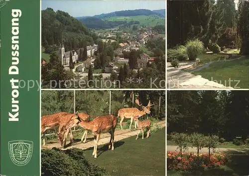 Dussnang Kneipp Kurhaus Wildgehege Schloss Parkanlagen Kat. Dussnang