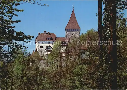 Weinfelden Schloss Kat. Weinfelden