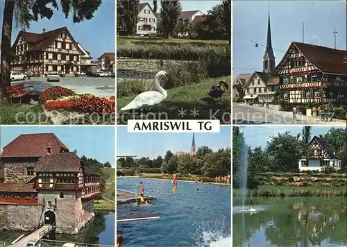 Amriswil TG Teilansichten Schwanenteich Fachwerkhaus Freibad Kat. Amriswil