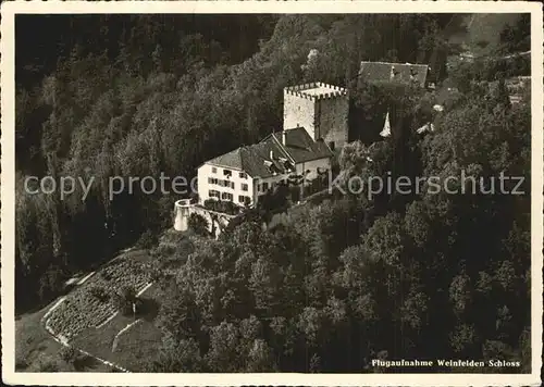 Weinfelden Schloss Fliegeraufnahme Kat. Weinfelden