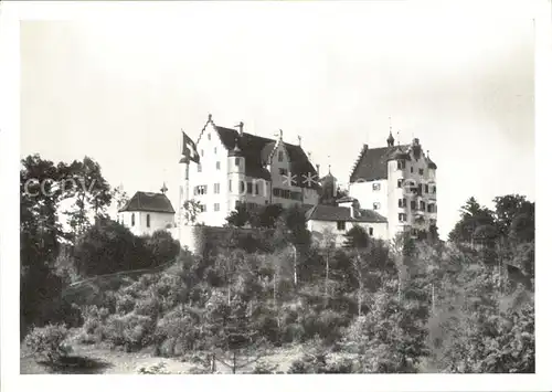 Wigoltingen Schloss Altenklingen Kat. Wigoltingen