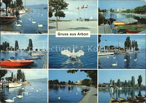 Arbon TG Seepartien Hafen Promenade Schwaene Kat. Arbon