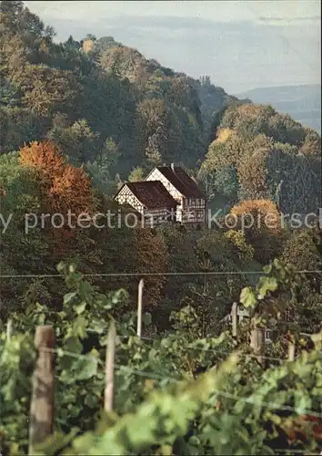 Salenstein TG Hinterburg Herbststimmung 75 Jahre Thurgauer Heimatschutz Kat. Salenstein