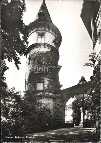 Steinegg Huettwilen TG Kurhaus Schloss Eingangstor Turm Kat. Huettwilen