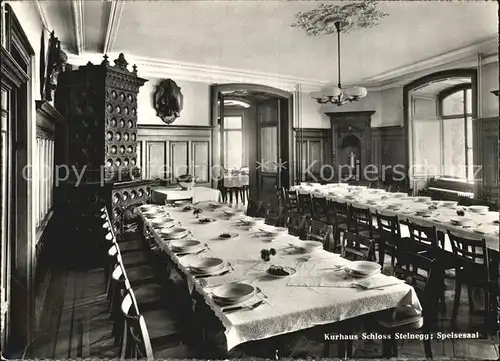 Steinegg Huettwilen TG Kurhaus Schloss Speisesaal Kat. Huettwilen