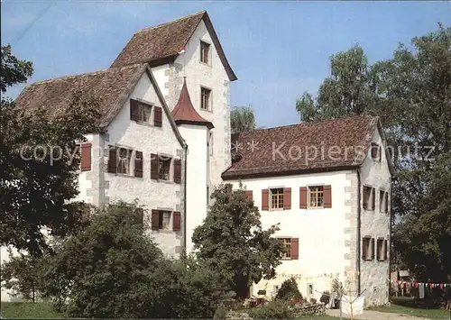 Roggwil TG Schloss Thurgauer Heimatschutz 1989 Kat. Roggwil TG