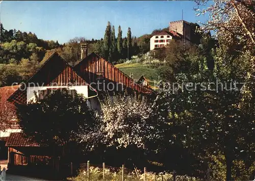 Weinfelden Schloss Baumbluete Kat. Weinfelden