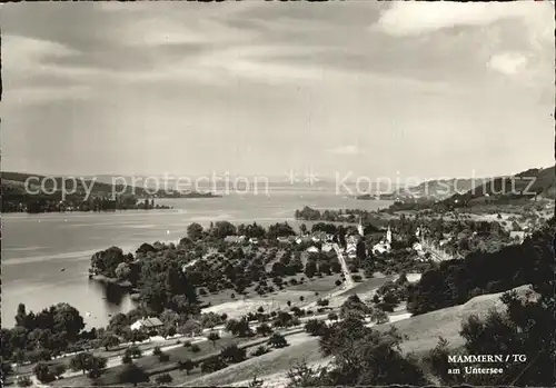 Mammern Panorama Untersee Bodensee Kat. Mammern