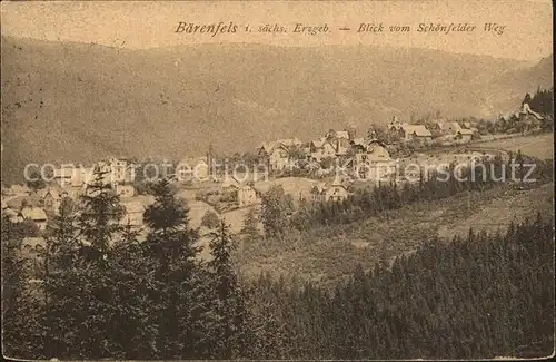 Baerenfels Erzgebirge Blick vom Schoenfelder Weg Kat. Altenberg
