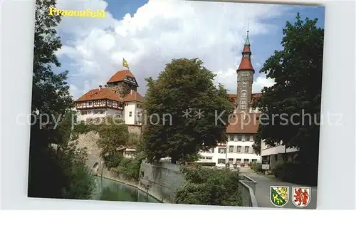 Frauenfeld Teilansicht Burg und Turm Kat. Frauenfeld