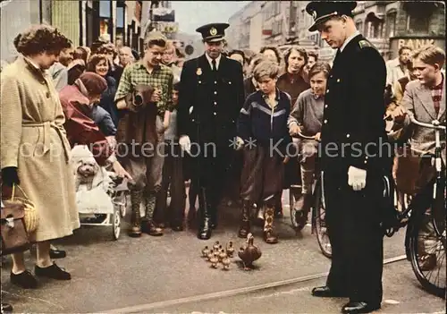 Kopenhagen Strassenszene mit Entenfamilie Kat. Hovedstaden