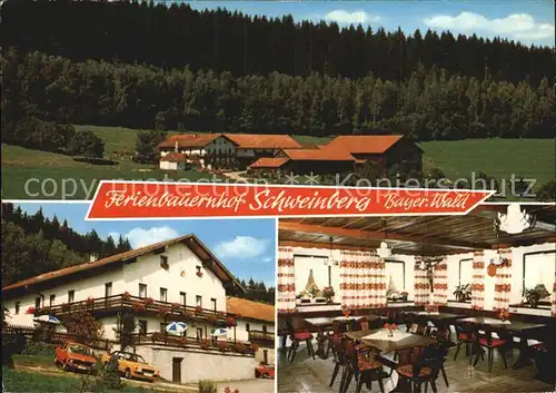 Schweinberg Kollnburg Ferienbauernhof Glasschroeder Kat. Kollnburg