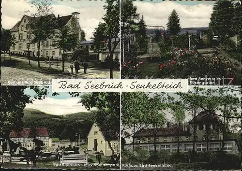 Bad Seebruch Kurhaus Kurpark Bad Senkelteich Rosengarten Kurhaus Kat. Vlotho