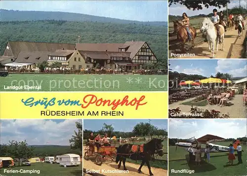 Ruedesheim Rhein Ferien und Freizeitanlage Landgut Ebental Ponyhof Camping Rundfluege Kat. Ruedesheim am Rhein