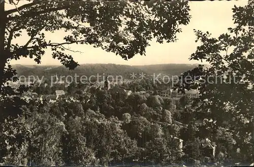 Waldheim Sachsen Panorama Kat. Waldheim Sachsen