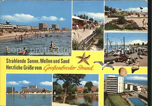 Grossenbrode Ostseebad Strand Hotels Hafen Promenade Moewe Meerestiere