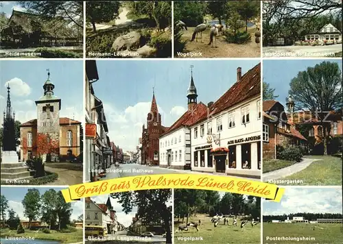 Walsrode Lueneburger Heide Heidemuseum Hermann Loens Grab Vogelpark Luisenhoehe Kirche Kat. Walsrode