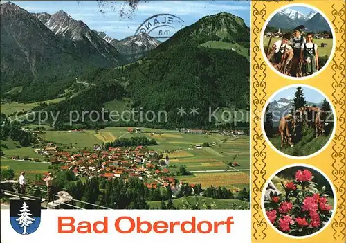 Bad Oberdorf Gesamtansicht mit Rotspitze und Nebelhorn Kat. Bad Hindelang