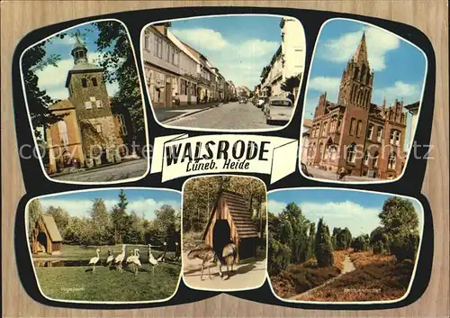 Walsrode Lueneburger Heide Teilansichten Turm Kirche Vogelpark Heidelandschaft Kat. Walsrode