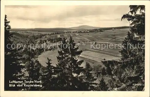 Tanne Harz Panorama Blick vom Kapitelsberg Kat. Tanne Harz