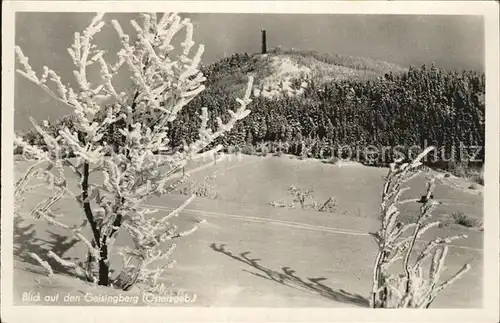 Geising Erzgebirge Blick auf den Geisingberg Winterpanorama Kat. Geising Osterzgebirge