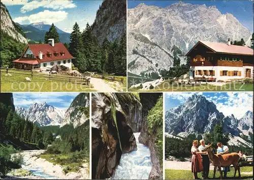 Wimbachtal Wimbachschloss Wimbachgriesalm Wimbachklamm Hirschkuh Palvenhoerner Alpen Kat. Berchtesgaden