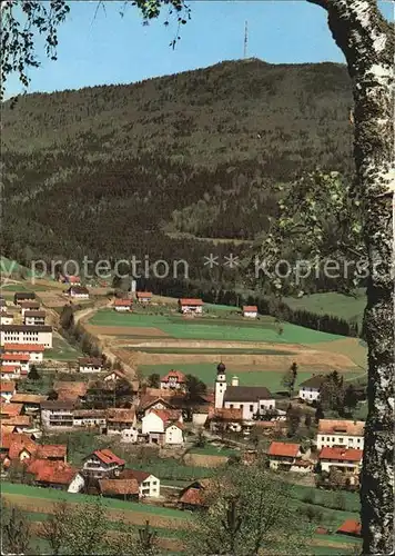 Rimbach Bayrischer Wald Hohenbogen Kat. Rimbach