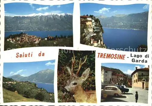Tremosine Lago di Garda Panorama Dorfmotive Rehbock Kat. Italien