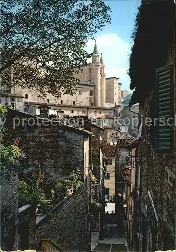 Urbino Torricini visti da S Giovanni Kat. Italien