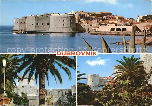 Dubrovnik Ragusa Panorama Schloss Palmen Kat. Dubrovnik