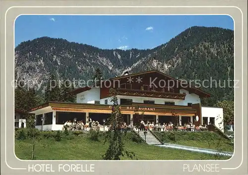 Plansee Hotel Forelle Terrasse Kat. Breitenwang